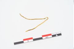 Foto von Golddrahtring (NHMW-PRAE-025484)